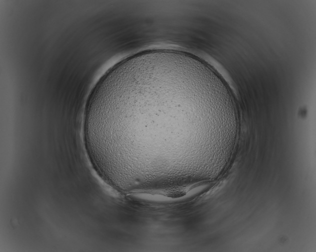 X0000089361245200707131608