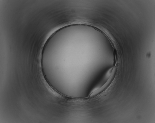 X0000089361246200707131608