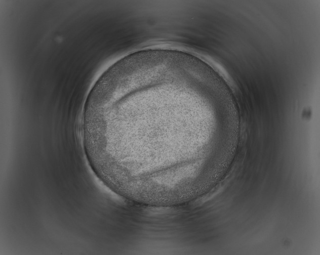 X0000089361247200707131608