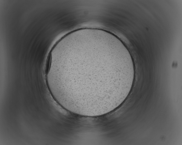 X0000089361248200707131608