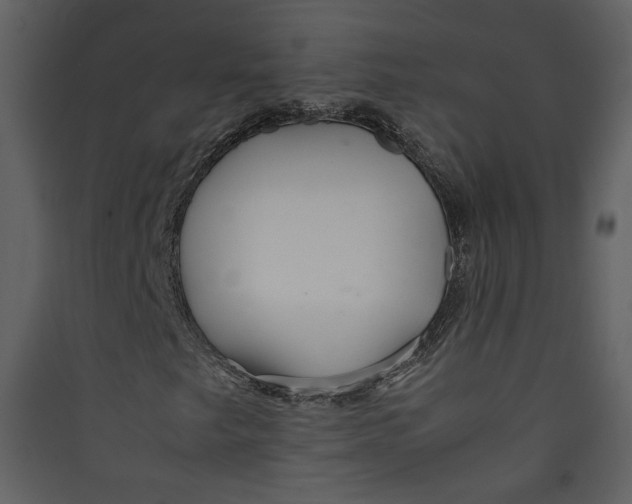 X0000089361249200707131608