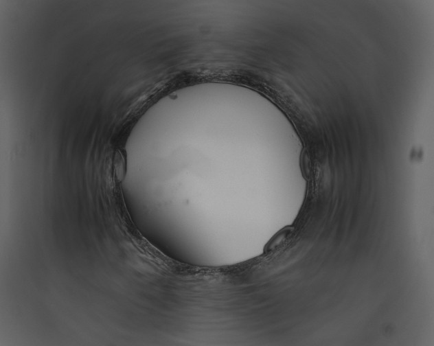X0000089361250200707131608