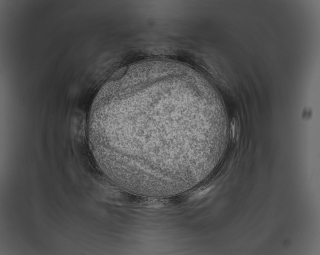 X0000089361251200707131608