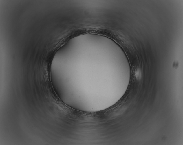 X0000089361252200707131608