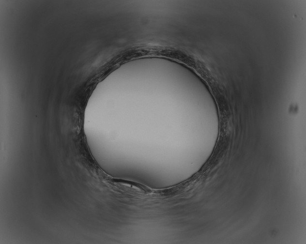 X0000089361253200707131608