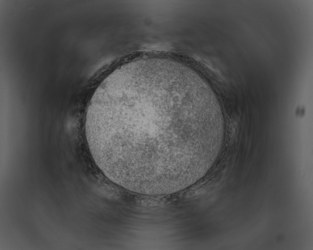X0000089361254200707131608