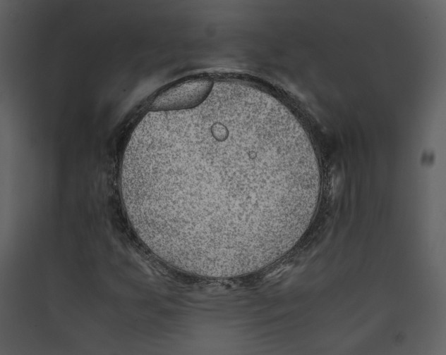 X0000089361255200707131608
