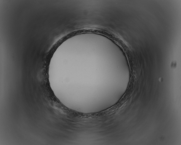 X0000089361256200707131607