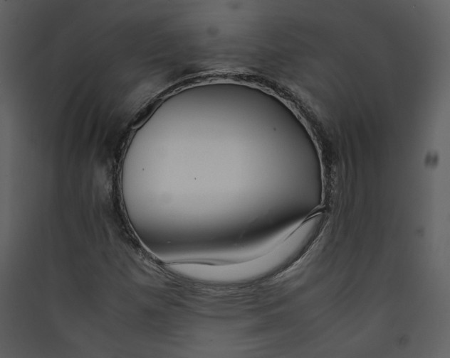 X0000089361257200707131607
