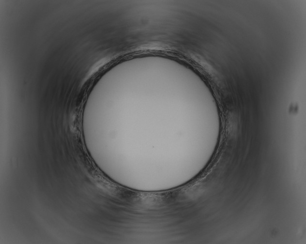 X0000089361258200707131607