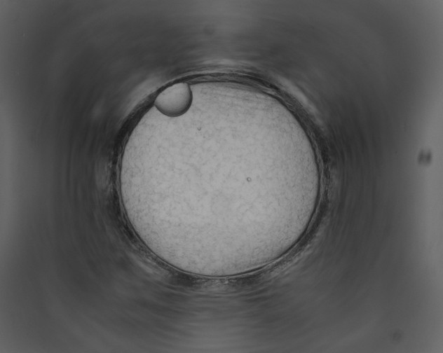 X0000089361259200707131607