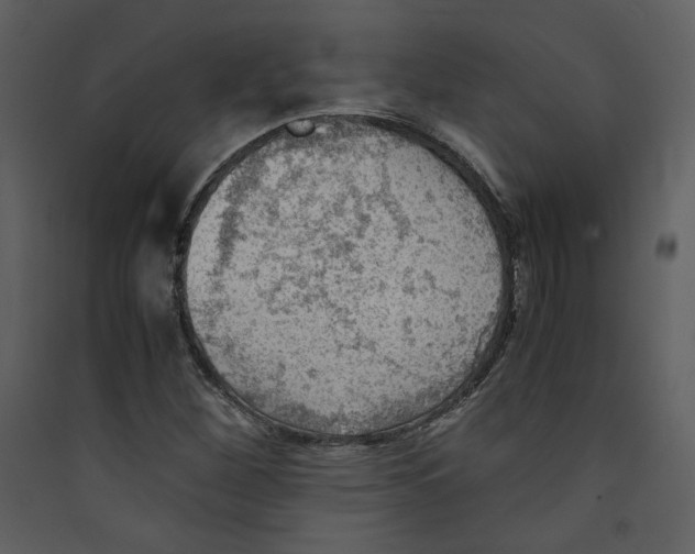 X0000089361260200707131607