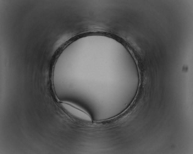 X0000089361261200707131607