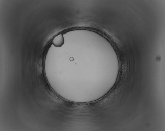 X0000089361262200707131607