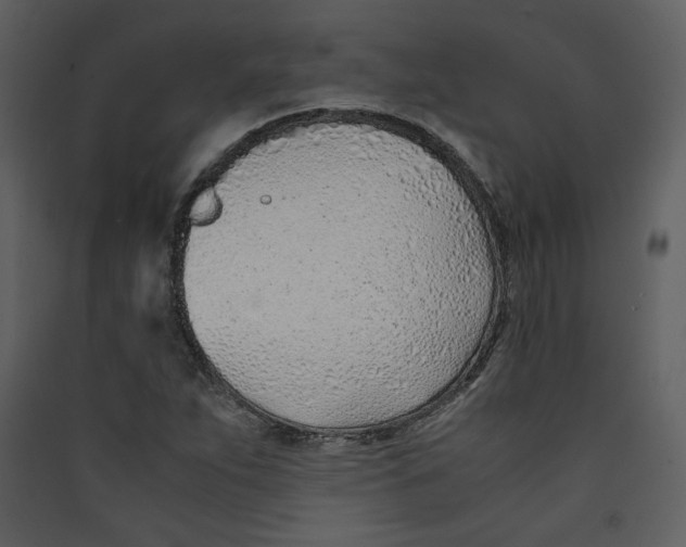 X0000089361263200707131607