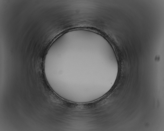 X0000089361265200707131607