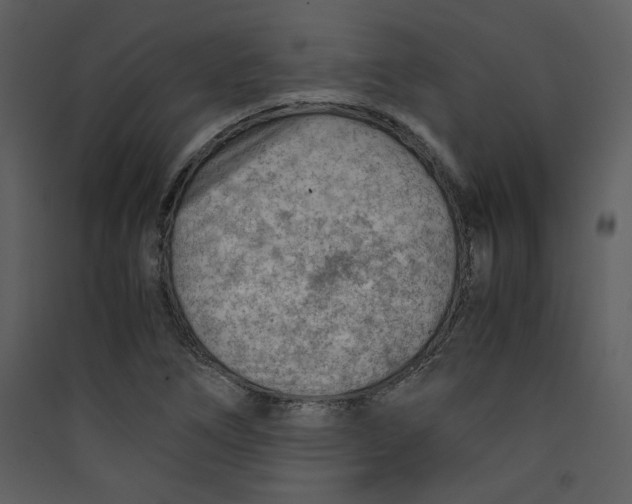X0000089361266200707131607