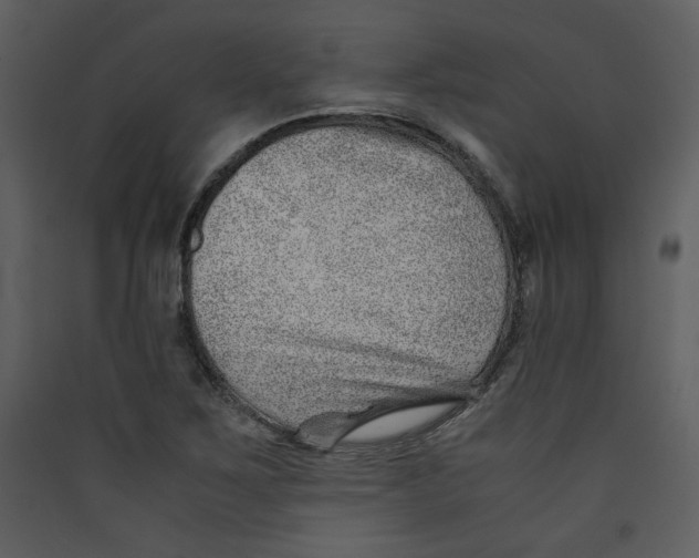 X0000089361267200707131607