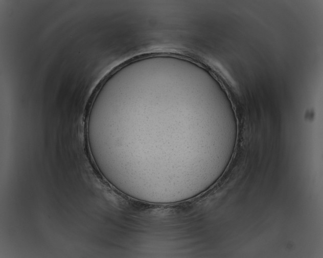 X0000089361268200707131607