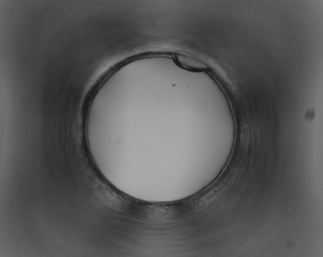 X0000089361270200707131607