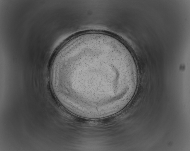 X0000089361271200707131607