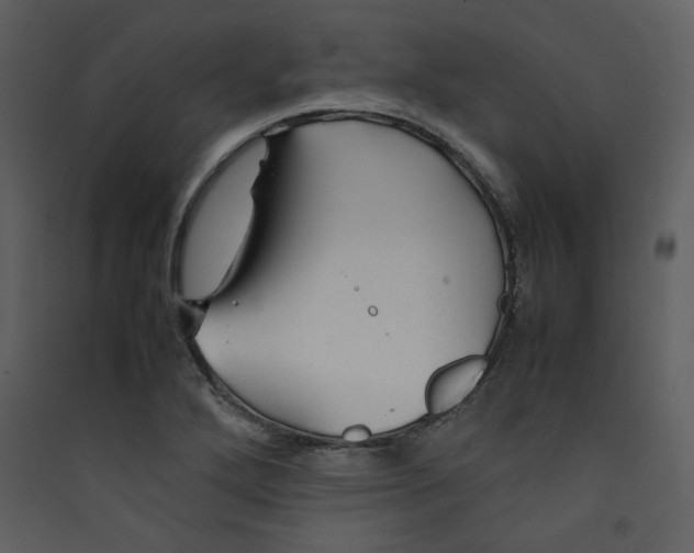X0000089361272200707131607