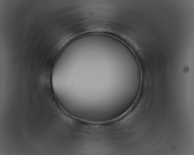 X0000089361273200707131607
