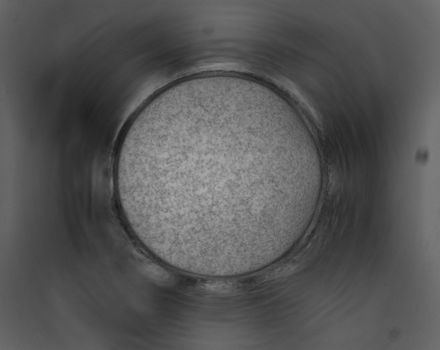 X0000089361274200707131607