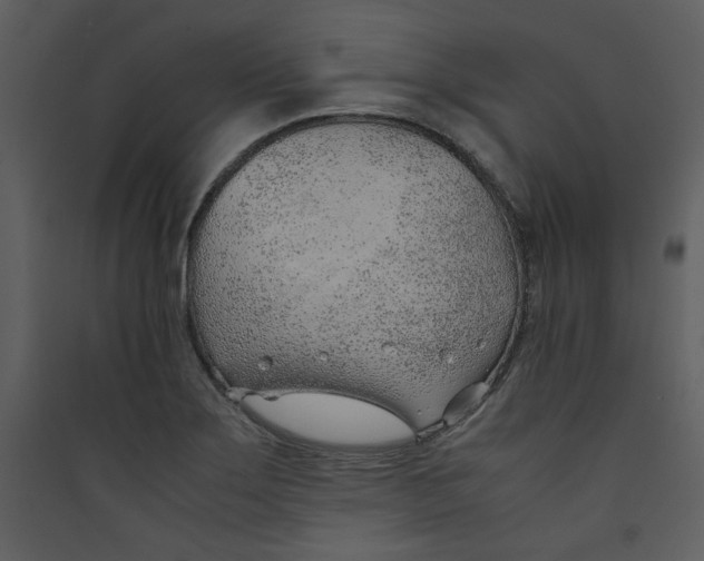 X0000089361275200707131607