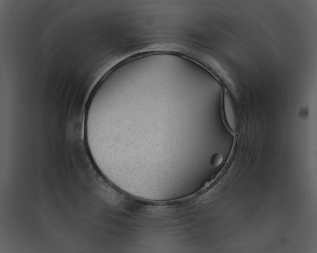 X0000089361276200707131607
