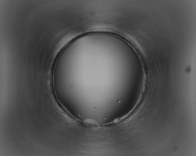 X0000089361277200707131607