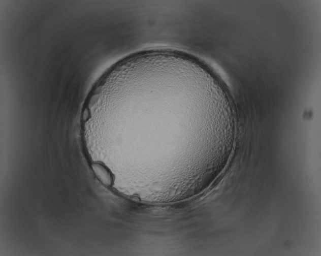 X0000089361279200707131607