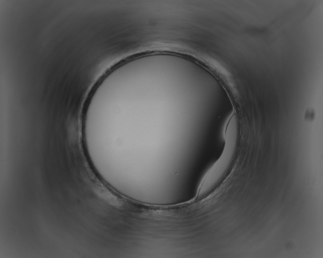 X0000089361280200707131607