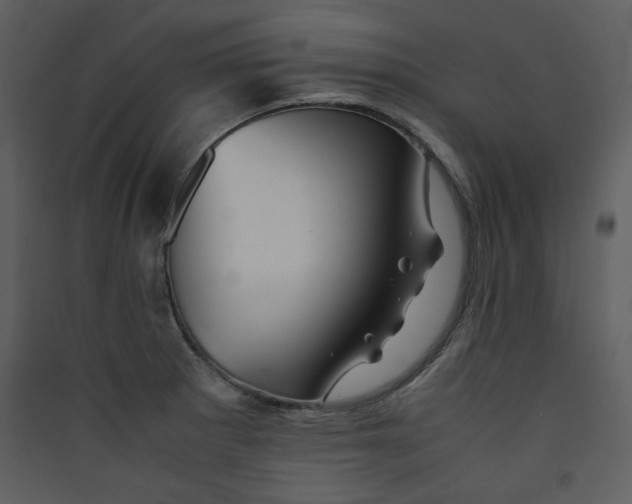 X0000089361281200707131607