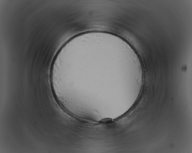 X0000089361283200707131607