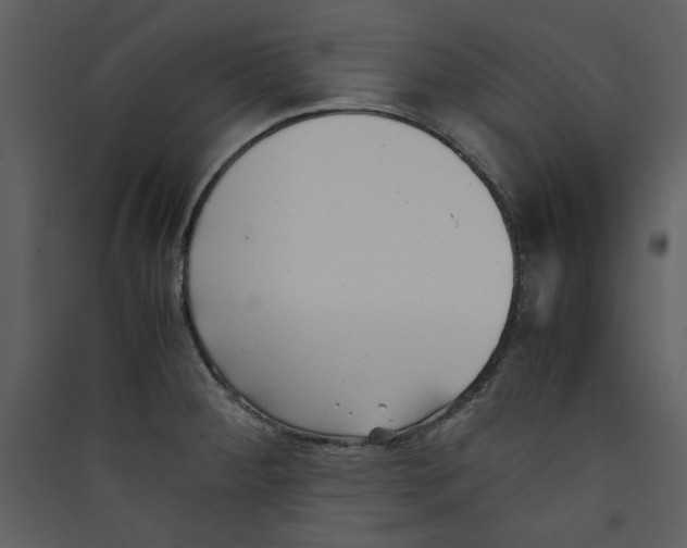 X0000089361284200707131607