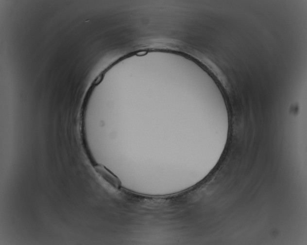X0000089361285200707131607