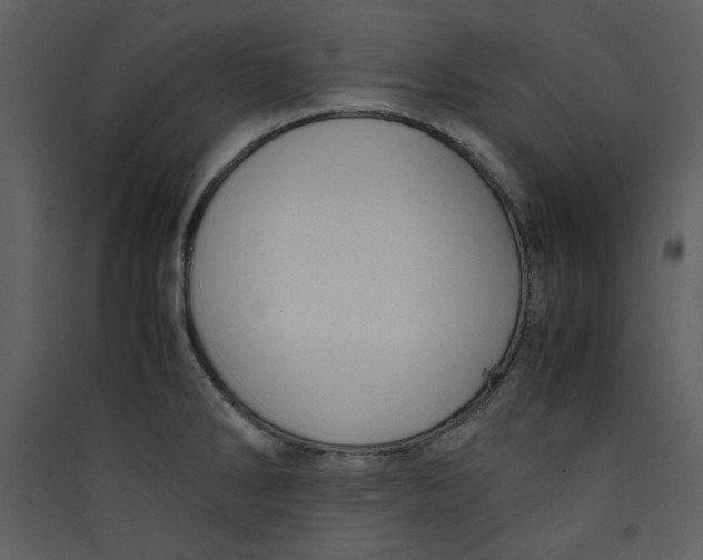 X0000089361286200707131607