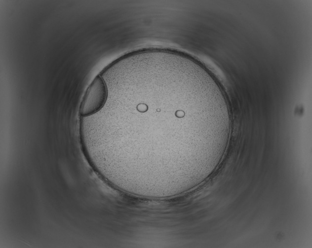 X0000089361287200707131607