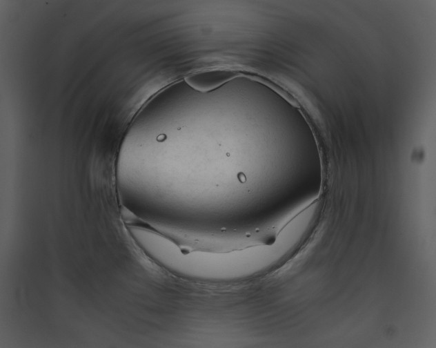 X0000089361289200707131607