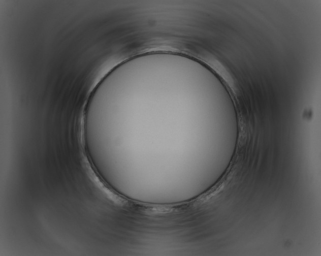 X0000089361290200707131607