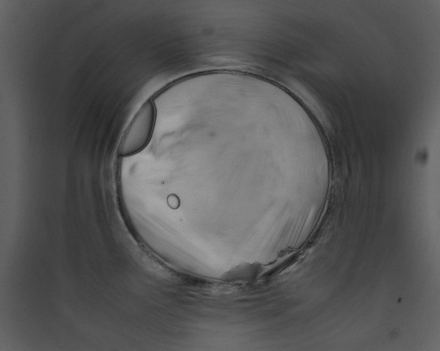 X0000089361291200707131607