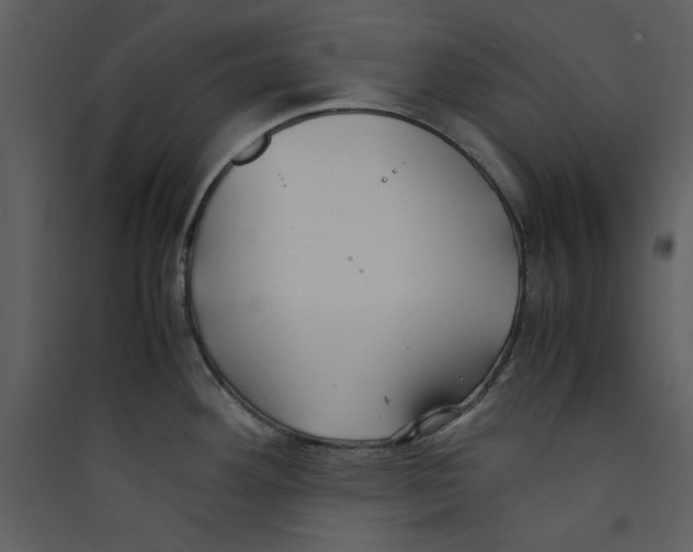X0000089361292200707131607