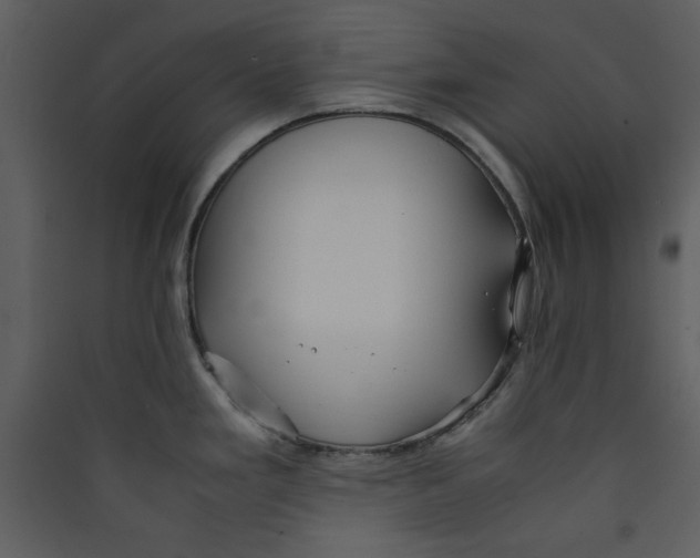 X0000089361293200707131607