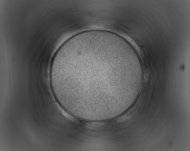 X0000089361294200707131607
