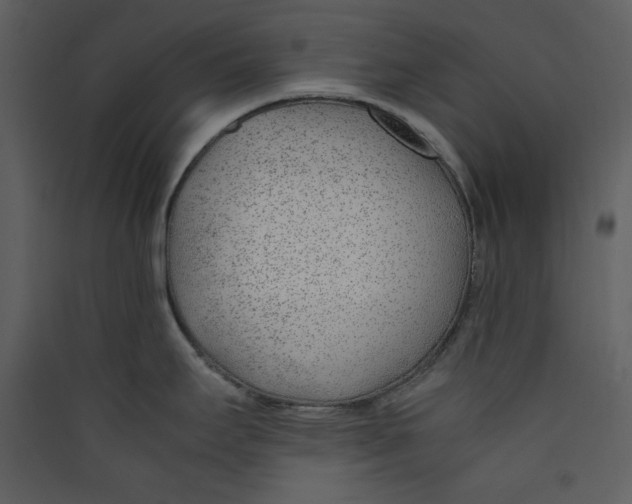 X0000089361295200707131607