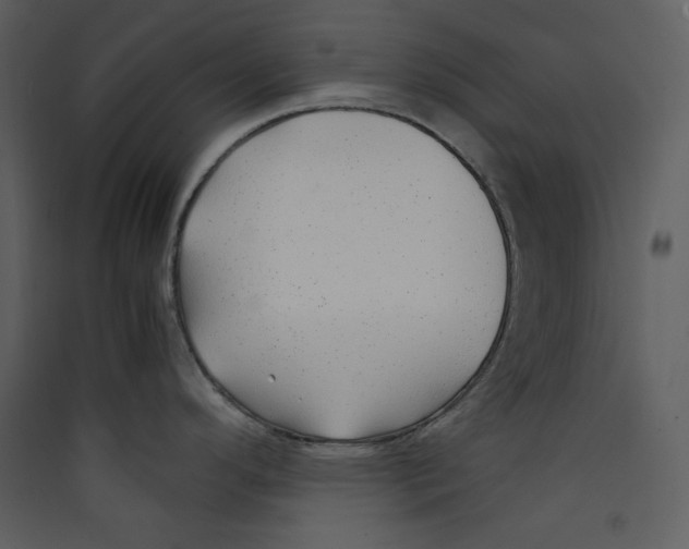 X0000089361296200707131607