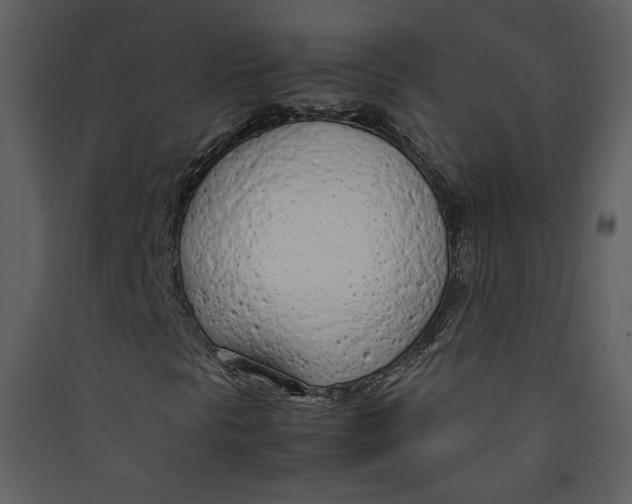 X0000089361297200707131606