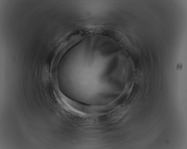 X0000089361298200707131606