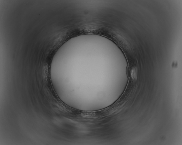 X0000089361299200707131606